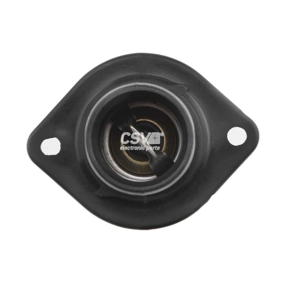 imagen (5) del producto Termostato Refrigerante