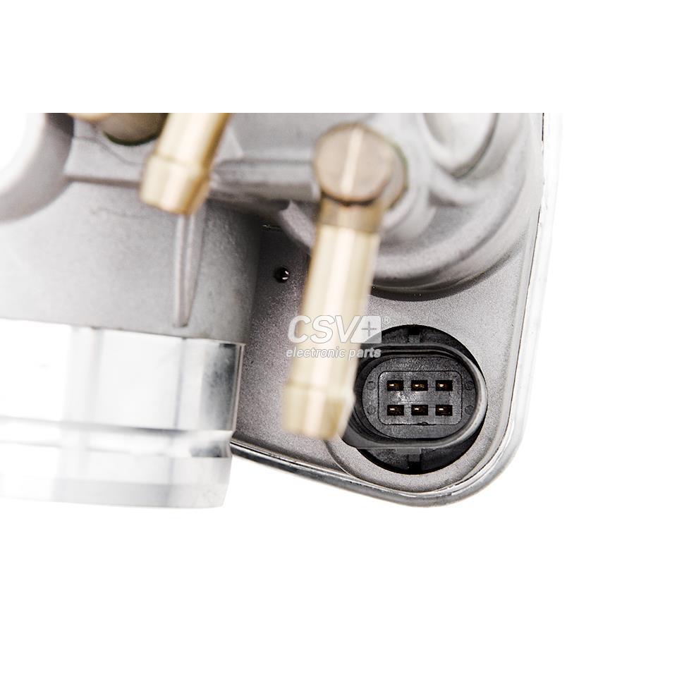 imagen (5) del producto Cuerpo De Mariposa Grupo Vag