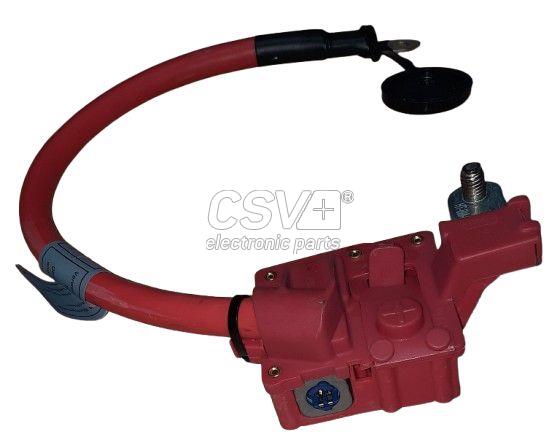 imagen (2) del producto Adaptador Bateria Bmw